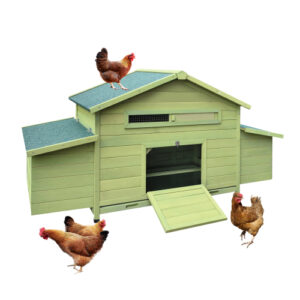 Hugi Furniture, Vietnam Factory, Wooden Pet furniture, OEM ODM services, Pet furniture, Wooden chicken house, coop, wooden coop, outdoor chicken house